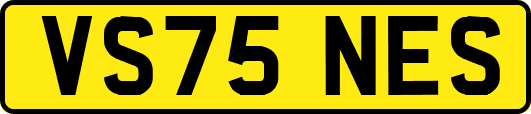 VS75NES