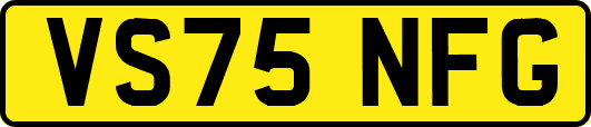 VS75NFG