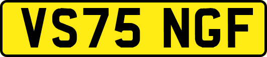 VS75NGF