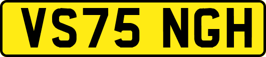 VS75NGH
