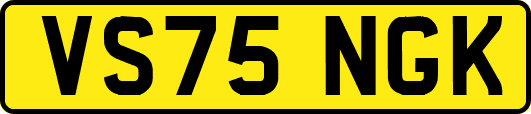 VS75NGK