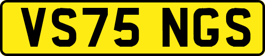 VS75NGS