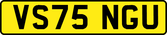 VS75NGU