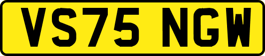 VS75NGW