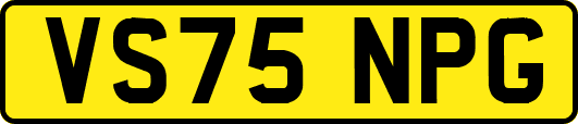 VS75NPG