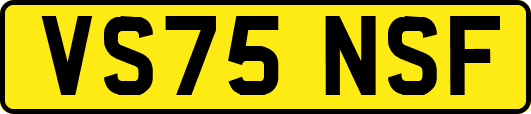 VS75NSF