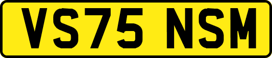 VS75NSM