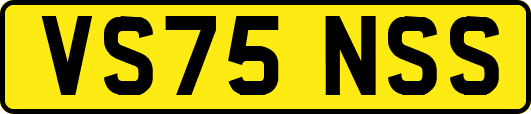 VS75NSS