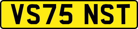 VS75NST