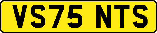 VS75NTS