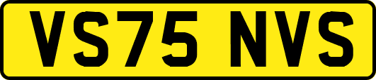 VS75NVS