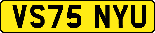 VS75NYU