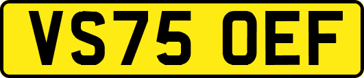 VS75OEF