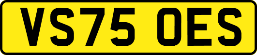 VS75OES