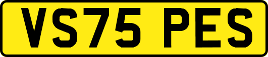 VS75PES
