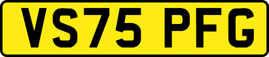VS75PFG