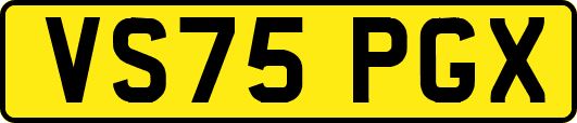 VS75PGX