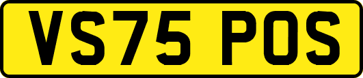 VS75POS