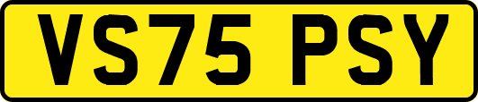VS75PSY