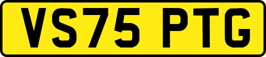 VS75PTG