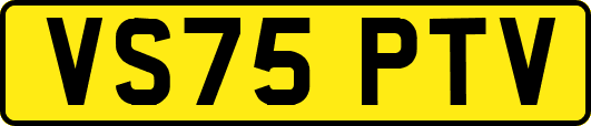 VS75PTV