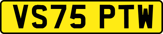 VS75PTW