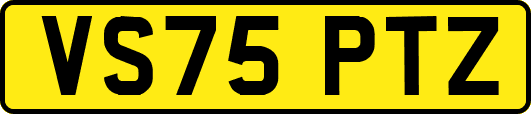 VS75PTZ