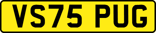 VS75PUG