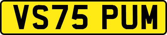 VS75PUM