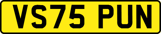 VS75PUN