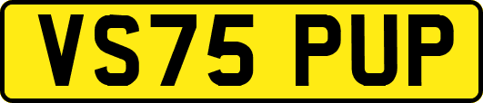 VS75PUP