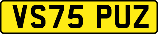 VS75PUZ