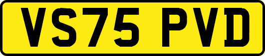 VS75PVD