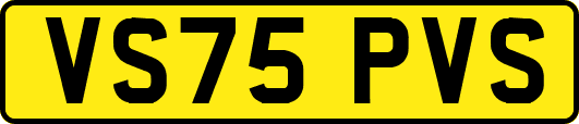 VS75PVS