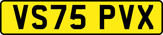 VS75PVX