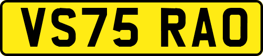 VS75RAO