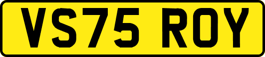 VS75ROY