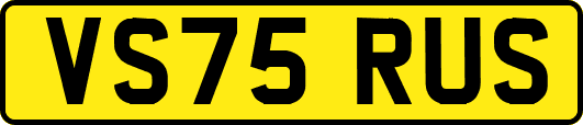 VS75RUS