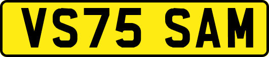 VS75SAM
