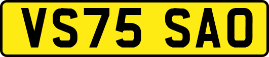 VS75SAO
