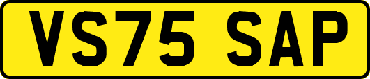 VS75SAP