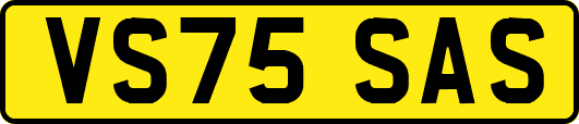 VS75SAS