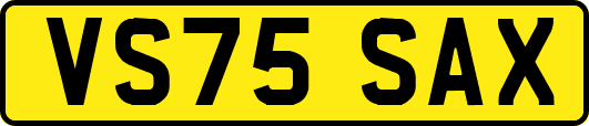 VS75SAX
