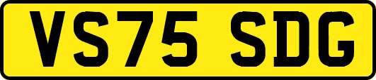 VS75SDG