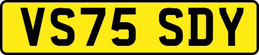 VS75SDY