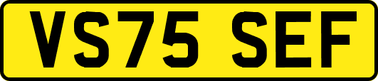 VS75SEF