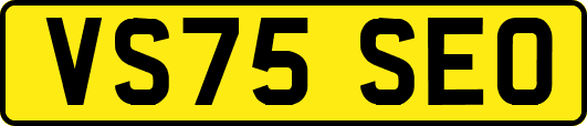VS75SEO