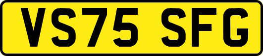 VS75SFG