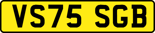 VS75SGB