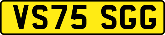VS75SGG